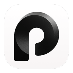 Paraspeech
