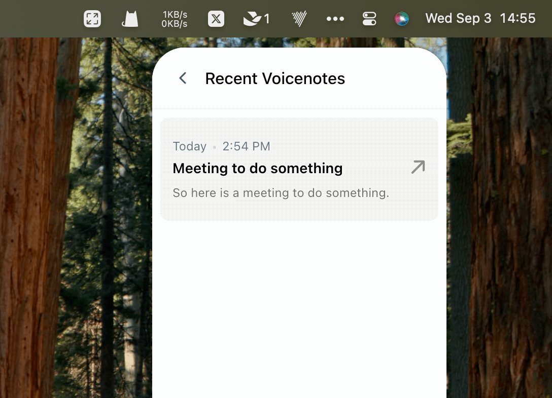 Voicenotes
